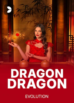 Dragon Dragon