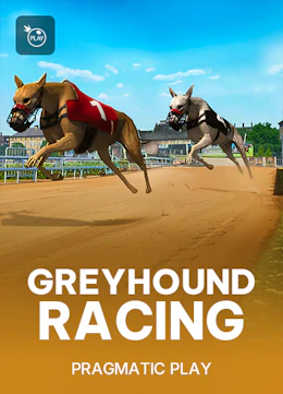 Greyhound Racing