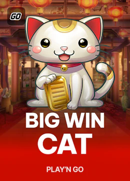 Big Win Cat