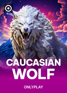 Caucasian Wolf